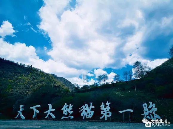 交4年不交怎么退？游戏画面
